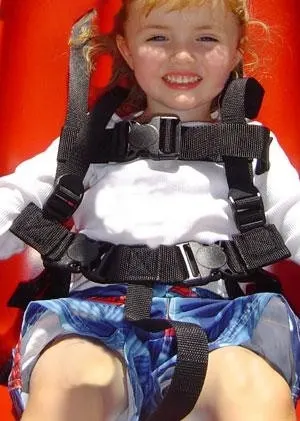 ADA Swing Seat Harness