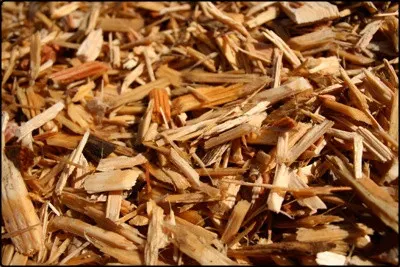 Engineered Wood Fiber Mulch Playground Safety Surfacing
