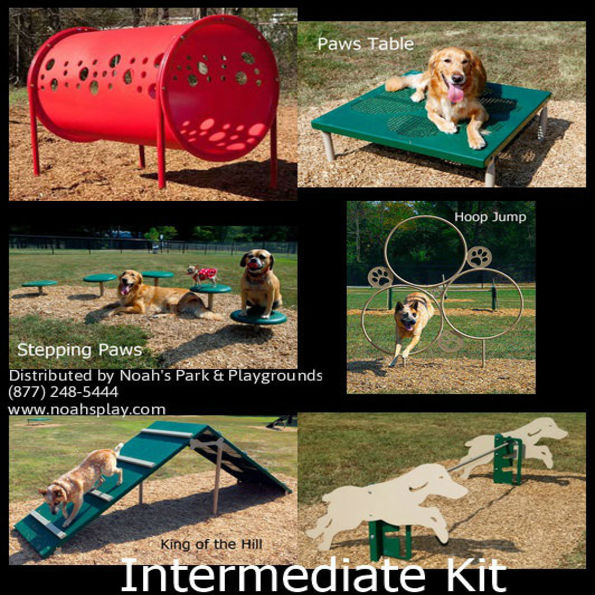 BarkPark™ Intermediate Kit