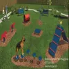 BarkPark™ Intermediate Kit thumbnail 5