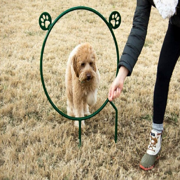 BarkPark™ Hoop Jump