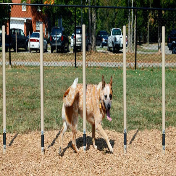 BarkPark™ Weave Posts