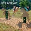 BarkPark™ Rover Jump Over thumbnail 1