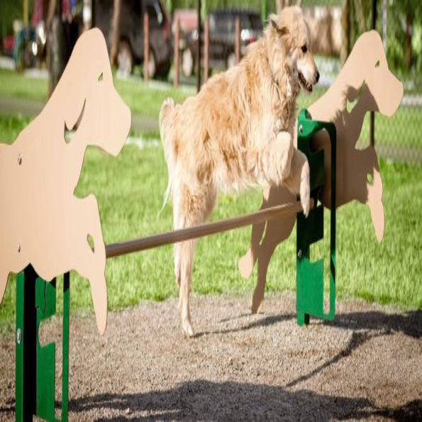 BarkPark™ Rover Jump Over