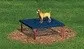 BarkPark™ Paws Table