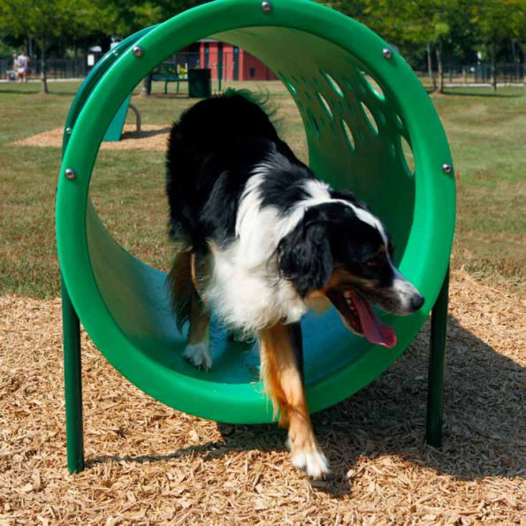 BarkPark™ Doggie Crawl