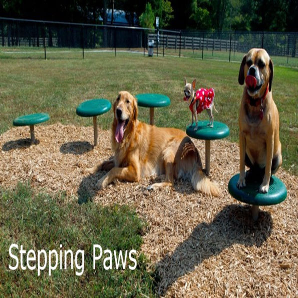 BarkPark™ Stepping Paws