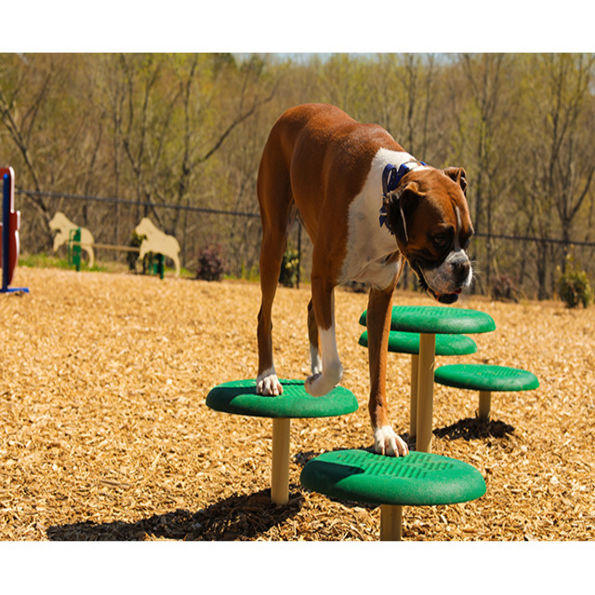 BarkPark™ Stepping Paws