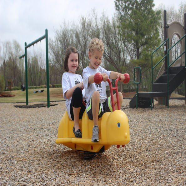 Bumbling Betsy Bee Double Spring Rider