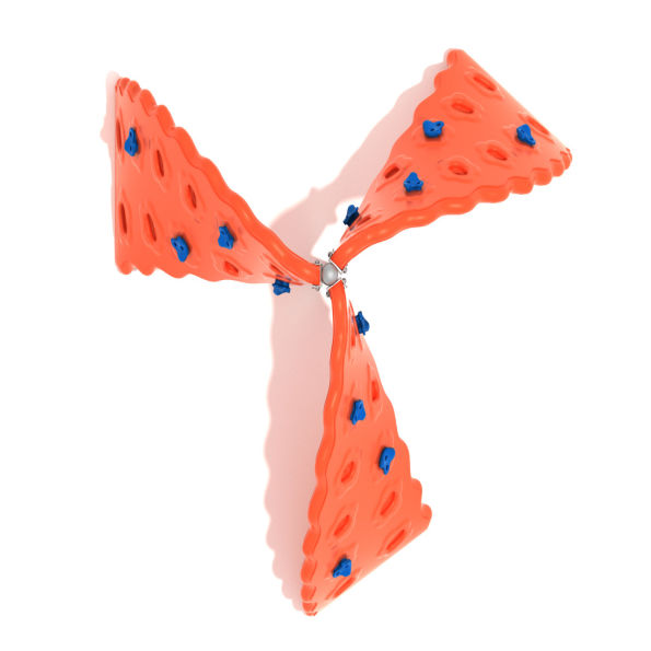 Cyclone Challenger Climber