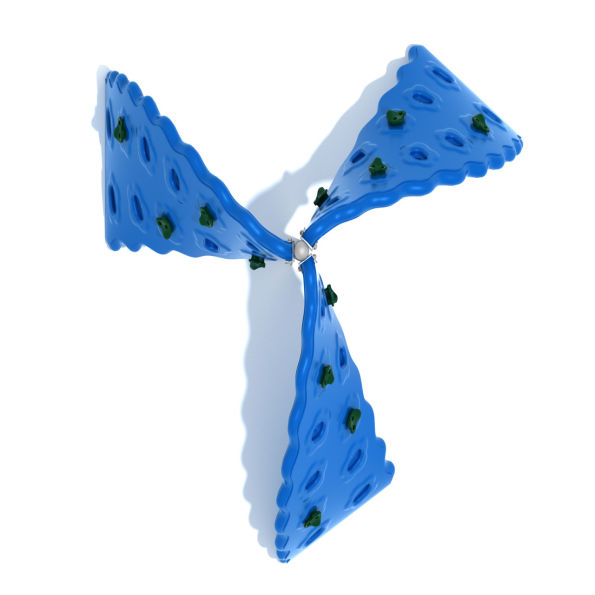 Cyclone Challenger Climber