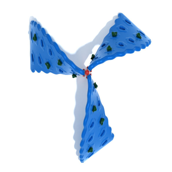 Cyclone Challenger Climber