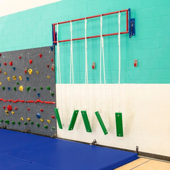 Indoor Safari Swing Steppers