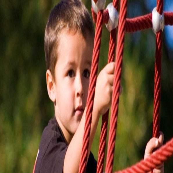 Fourtress Climber Large