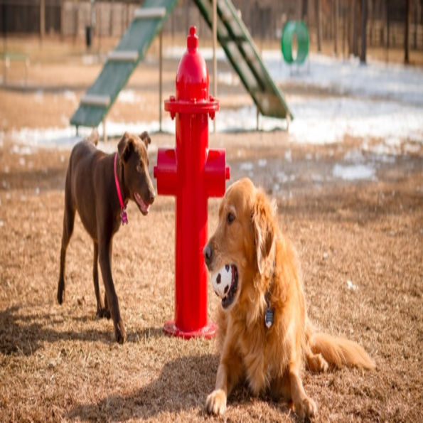 BarkPark™ Dog Park Fire Hydrant