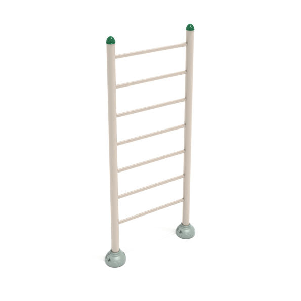 Single Station Vertical Ladder