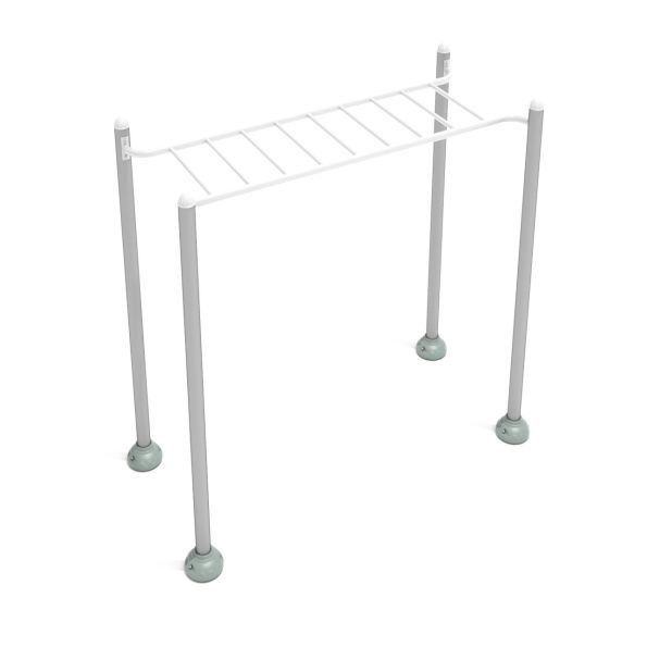 Single Station Horizontal Ladder