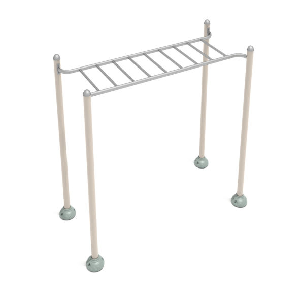 Single Station Horizontal Ladder