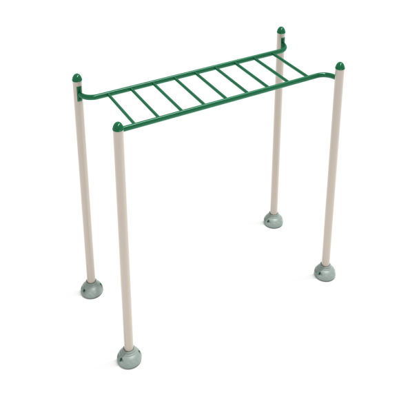 Single Station Horizontal Ladder