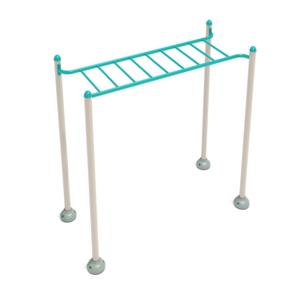 Single Station Horizontal Ladder