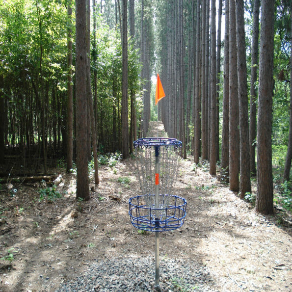 Mach V Disc Golf Basket