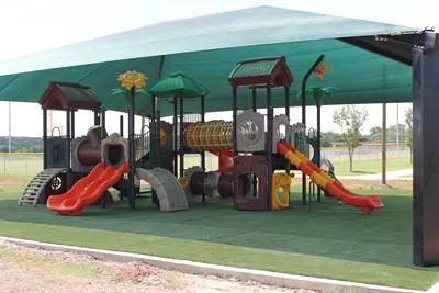 Leaping Lion Tree House Play Structure