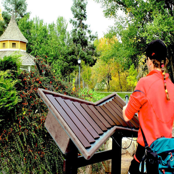 Cadence Outdoor Instrument