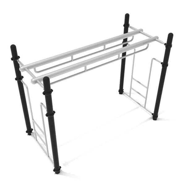 Double Parallel Bar Ladder