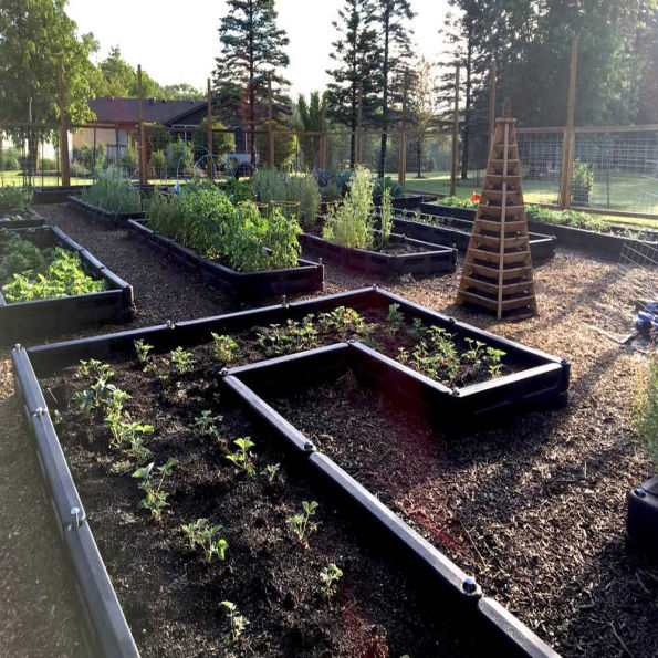 Border Timber Raised Garden Beds with Weed Mat
