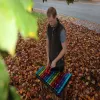 Rainbow Capella Outdoor Instrument thumbnail 3