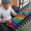 Rainbow Cavatina Outdoor Instrument thumbnail 6