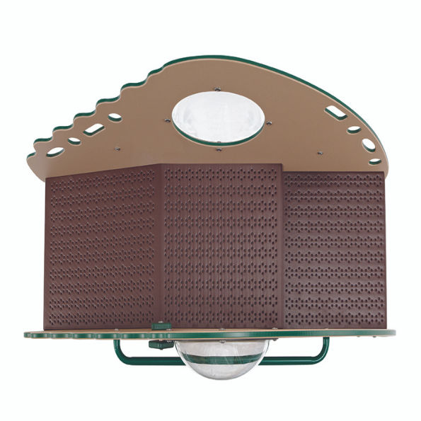 Cruise-a-Long Activity Platform