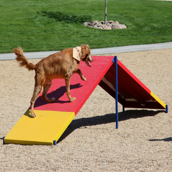 Complete Dog Park Agility System