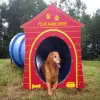 Small Dog Agility System thumbnail 14