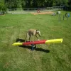 Complete Dog Park Agility System thumbnail 4