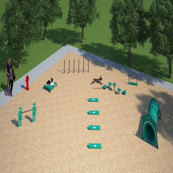 Small Dog Agility System