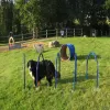 Complete Dog Park Agility System thumbnail 6