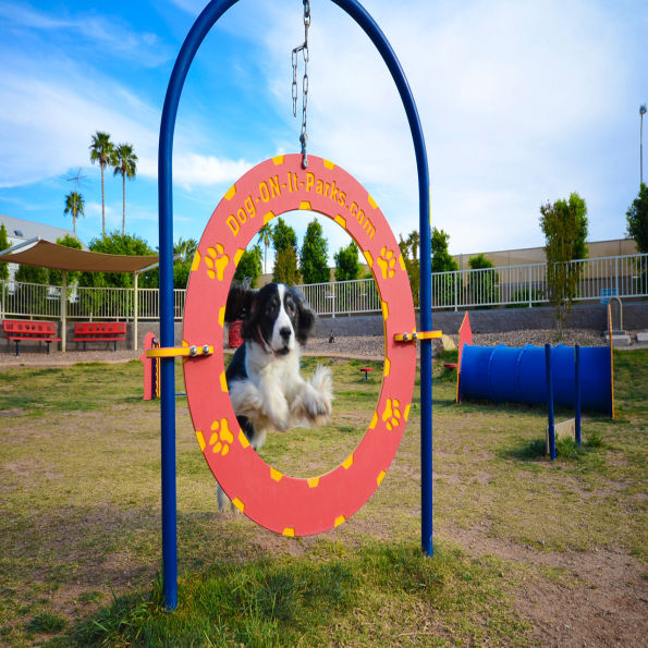 Complete Dog Park Agility System