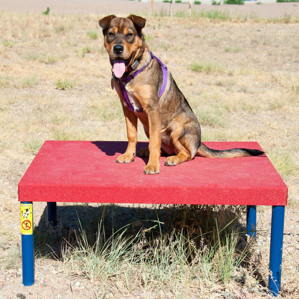 Bronze  Dog Park Agility Package