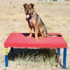 Bronze  Dog Park Agility Package thumbnail 3