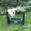 Bronze  Dog Park Agility Package thumbnail 4