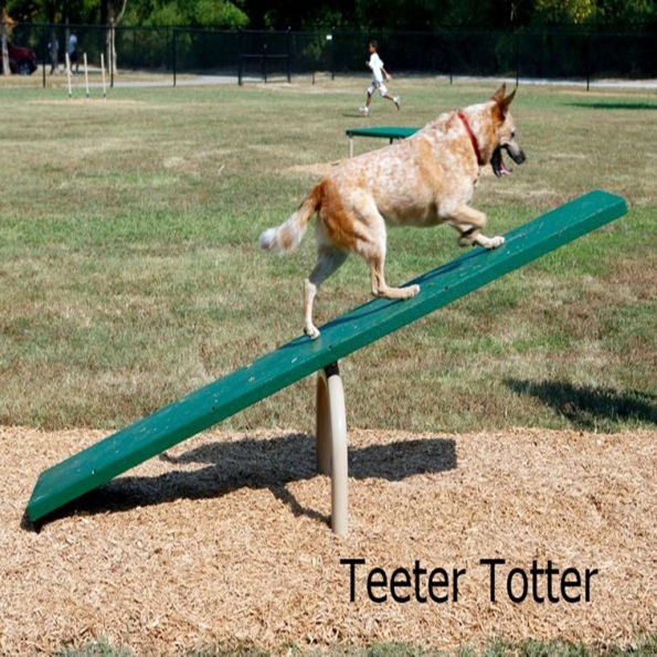 Complete Dog Park Agility System