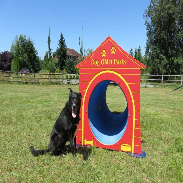 Complete Dog Park Agility System