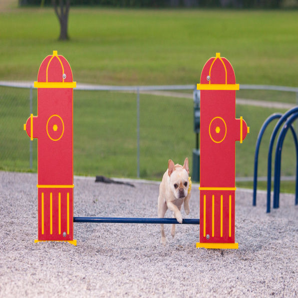Silver Dog Park Agility Package