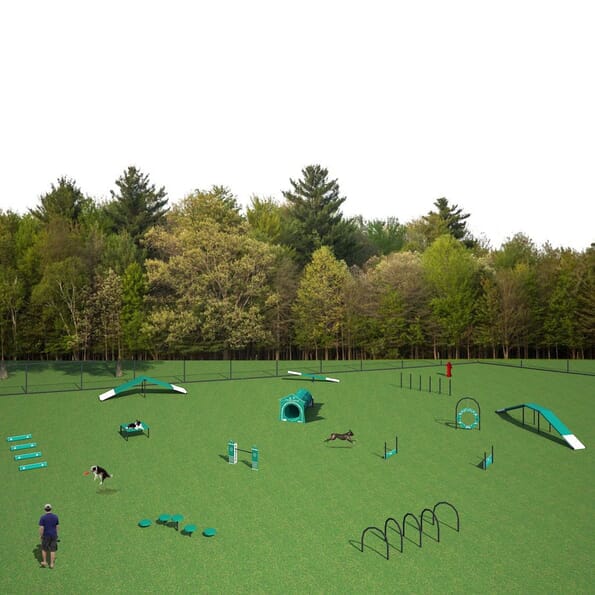 Complete Dog Park Agility System
