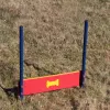 Silver Dog Park Agility Package thumbnail 4