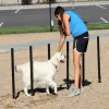 Silver Dog Park Agility Package thumbnail 5