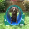 Silver Dog Park Agility Package thumbnail 9