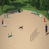 Silver Dog Park Agility Package thumbnail 12