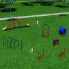 Gold Dog Park Agility Package thumbnail 1